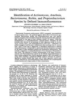 Identification of Actinomyces, Arachnia, Bacterionema, Rothia, and Propionibacterium Species by Defined Immunofluorescence