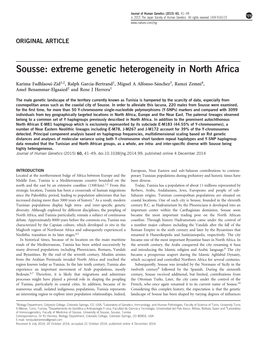 Extreme Genetic Heterogeneity in North Africa