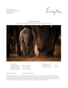 Singita Sabi Sand Wildlife Report