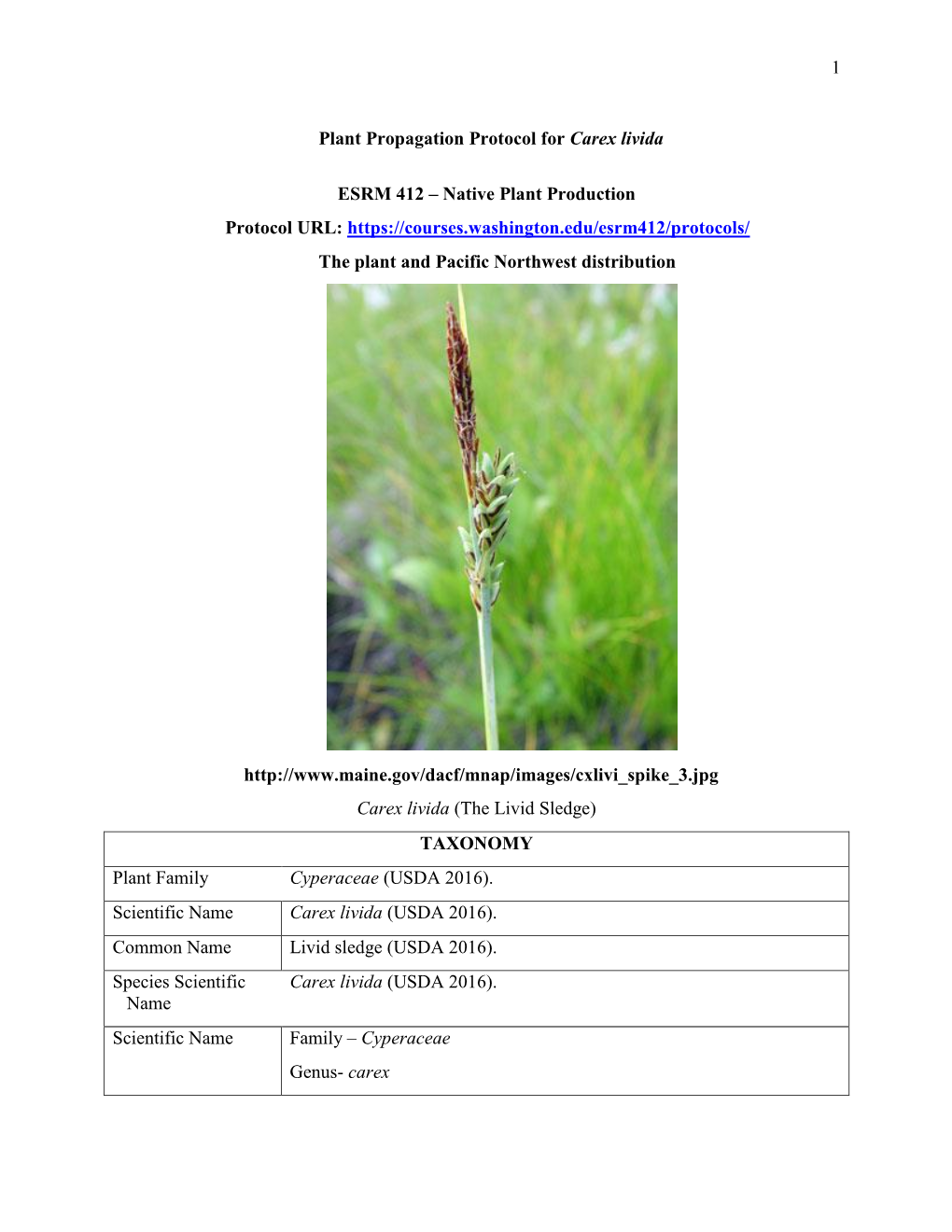 1 Plant Propagation Protocol for Carex Livida ESRM 412 – Native Plant