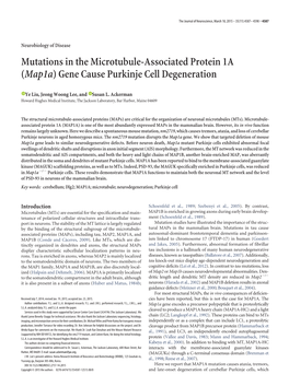 Mutations in the Microtubule-Associated Protein 1A (Map1a) Gene Cause Purkinje Cell Degeneration