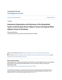 Anatomical Organization and Distinction of the Sympathetic Inputs to Interscapular Brown Adipose Tissue and Inguinal White Adipose Tissue in the Mouse