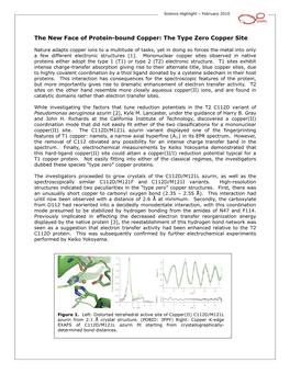 The New Face of Protein-Bound Copper: the Type Zero Copper Site