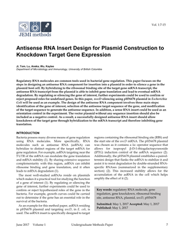 Antisense RNA Insert Design for Plasmid Construction to Knockdown Target Gene Expression