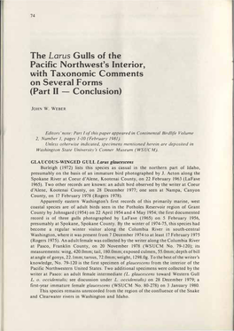 The Larus Gulls of the Pacific Northwest's Interior, with Taxonomic Comments on Several Forms (Part II - Conclusion)