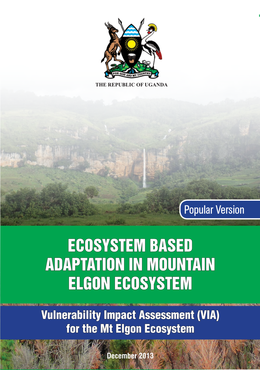 ECOSYSTEM BASED ADAPTATION in MOUNTAIN ELGON ECOSYSTEM [Vulnerability Impact Assessment (VIA) for the Mt Elgon Ecosystem Report]