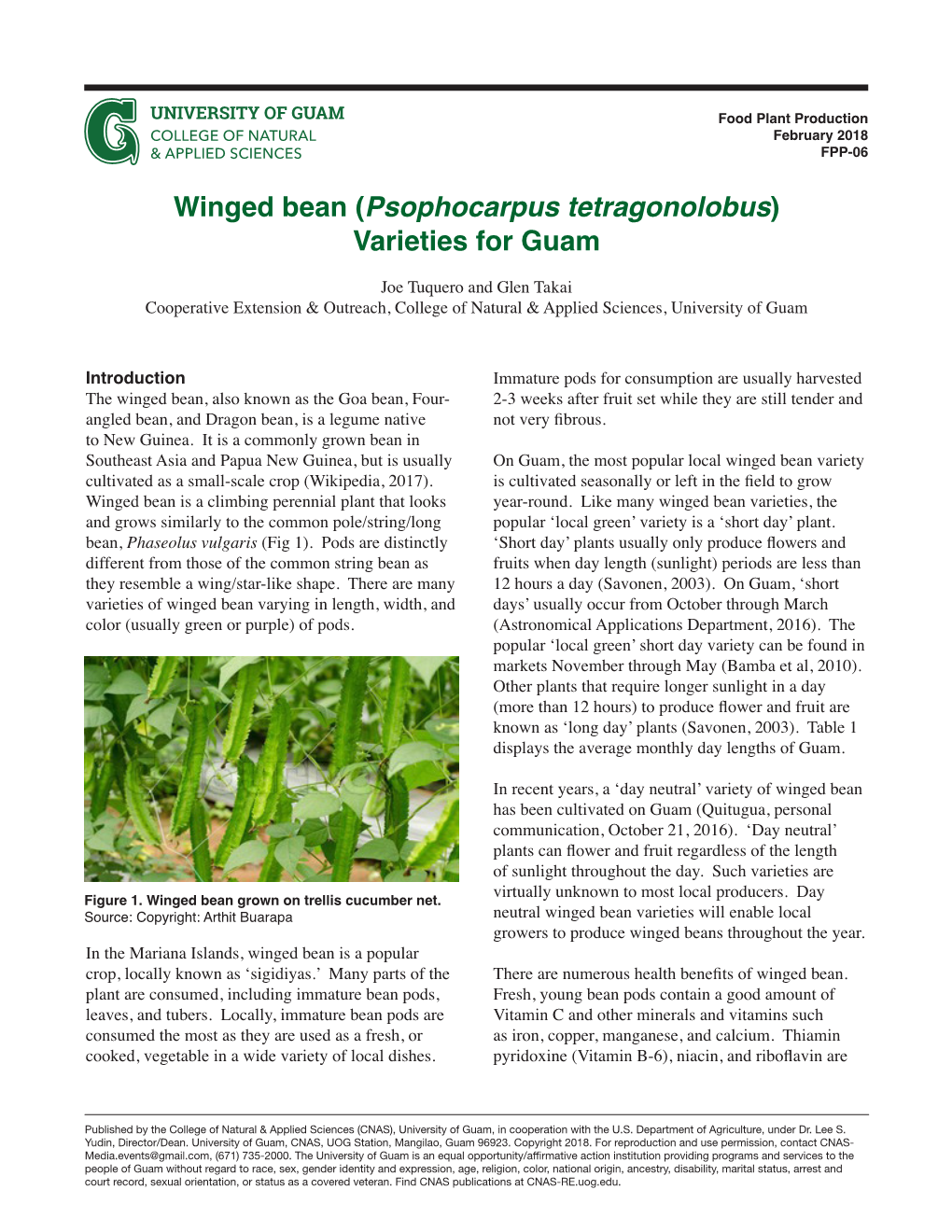 Winged Bean (Psophocarpus Tetragonolobus) Varieties for Guam