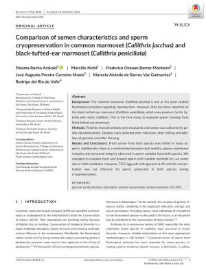 Comparison of Semen Characteristics and Sperm Cryopreservation in Common Marmoset (Callithrix Jacchus) and Black-­Tufted-­Ear Marmoset (Callithrix Penicillata)