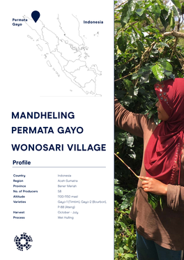 Sumatra Mandheling Permata Gayo Wonosari Village