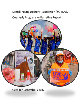 (SOYDA). Quarterly Progressive Narrative Report