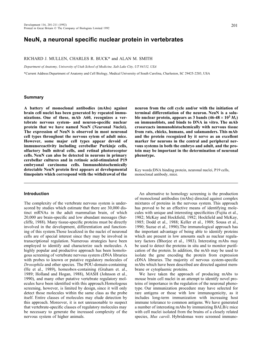 Neun, a Neuronal Specific Nuclear Protein in Vertebrates