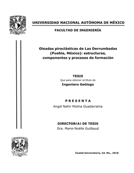 Oleadas Piroclásticas De Las Derrumbadas (Puebla, México): Estructuras