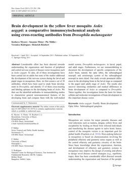 Brain Development in the Yellow Fever Mosquito Aedes Aegypti: a Comparative Immunocytochemical Analysis Using Cross-Reacting Antibodies from Drosophila Melanogaster