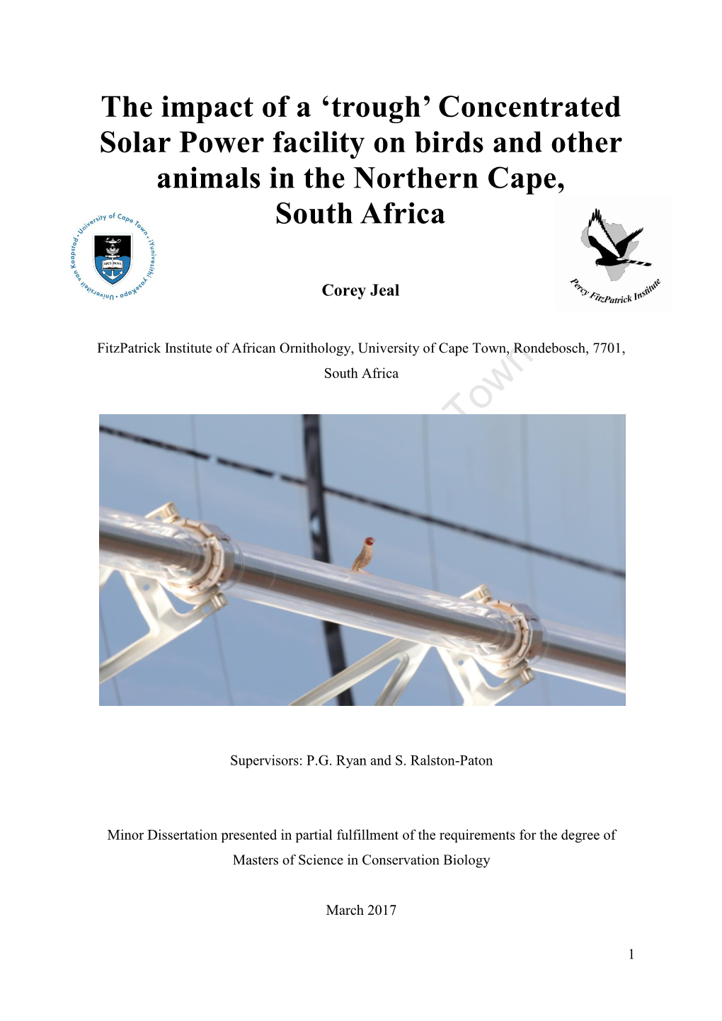 The Impact of a 'Trough' Concentrated Solar Power Facility on Birds And
