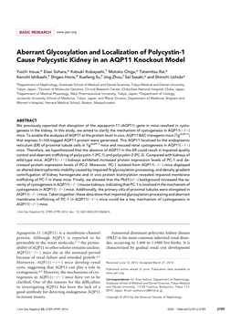Aberrant Glycosylation and Localization of Polycystin-1 Cause Polycystic Kidney in an AQP11 Knockout Model