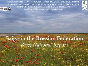 Saiga in the Russian Federation Brief National Report