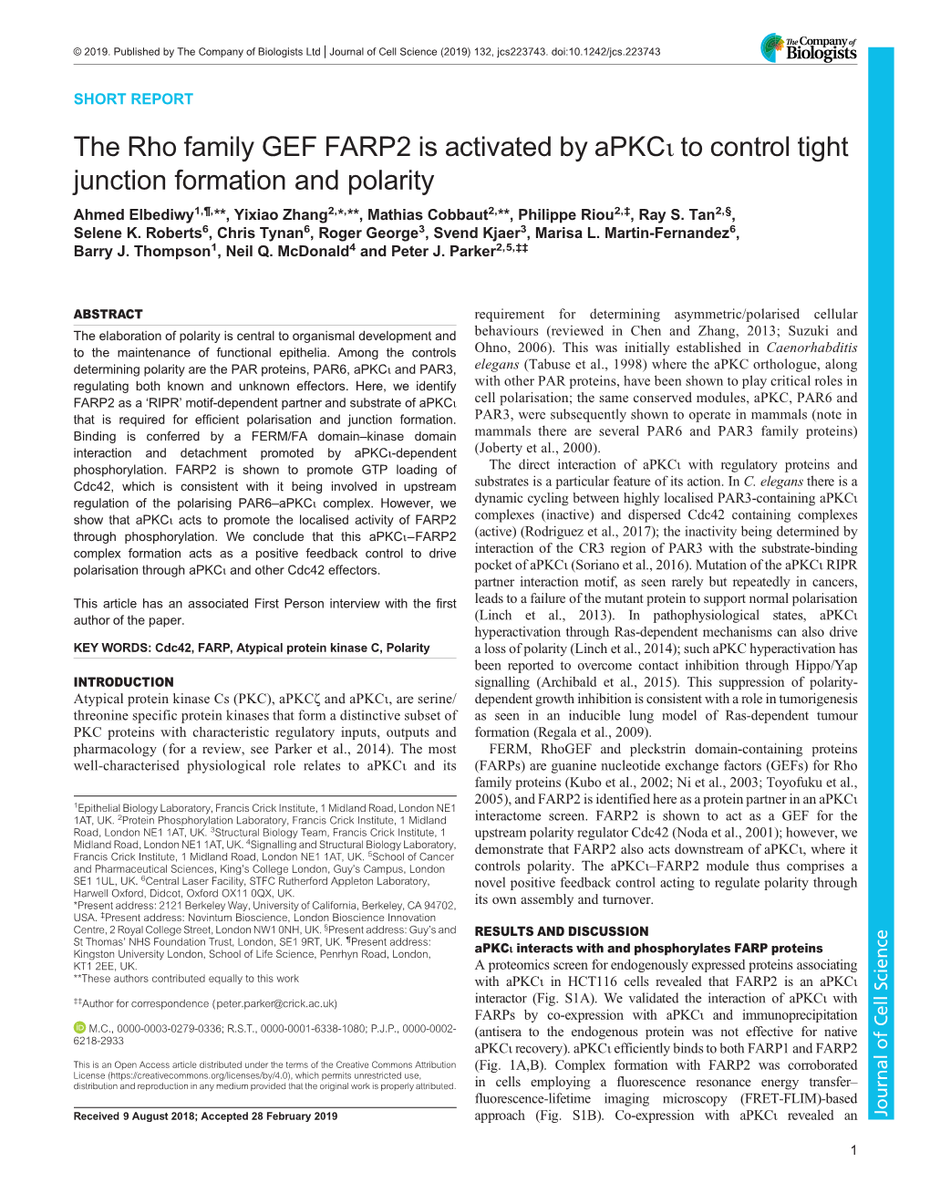 The Rho Family GEF FARP2 Is Activated by Apkcι to Control Tight