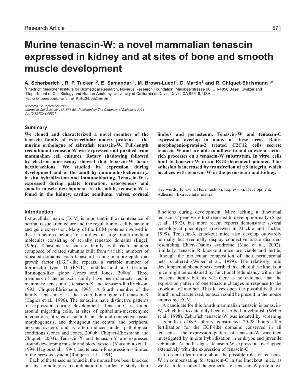 Murine Tenascin-W: a Novel Mammalian Tenascin Expressed in Kidney and at Sites of Bone and Smooth Muscle Development