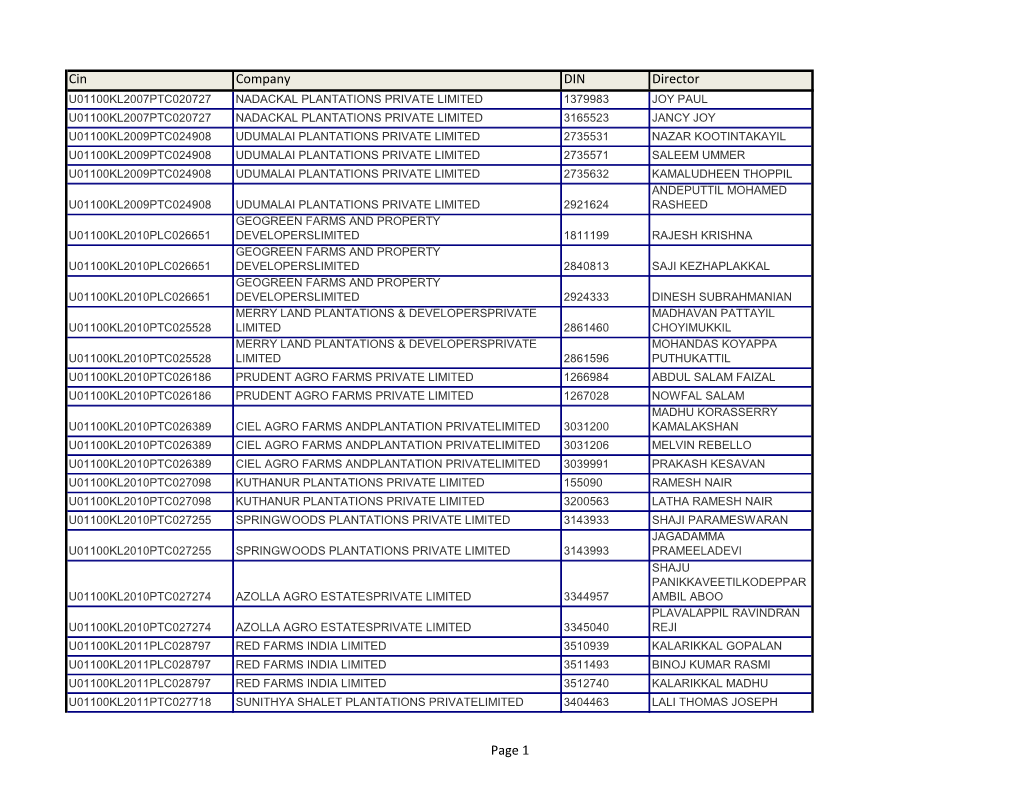 Cin Company DIN Director Page 1