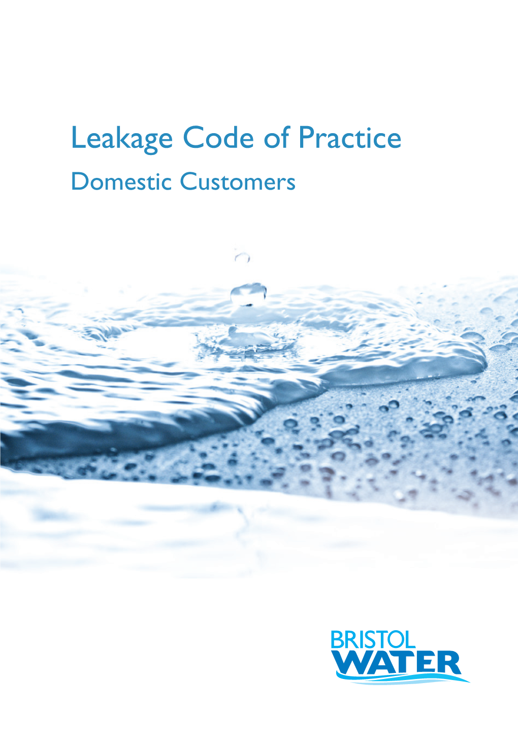 Leakage Code of Practice Domestic Customers