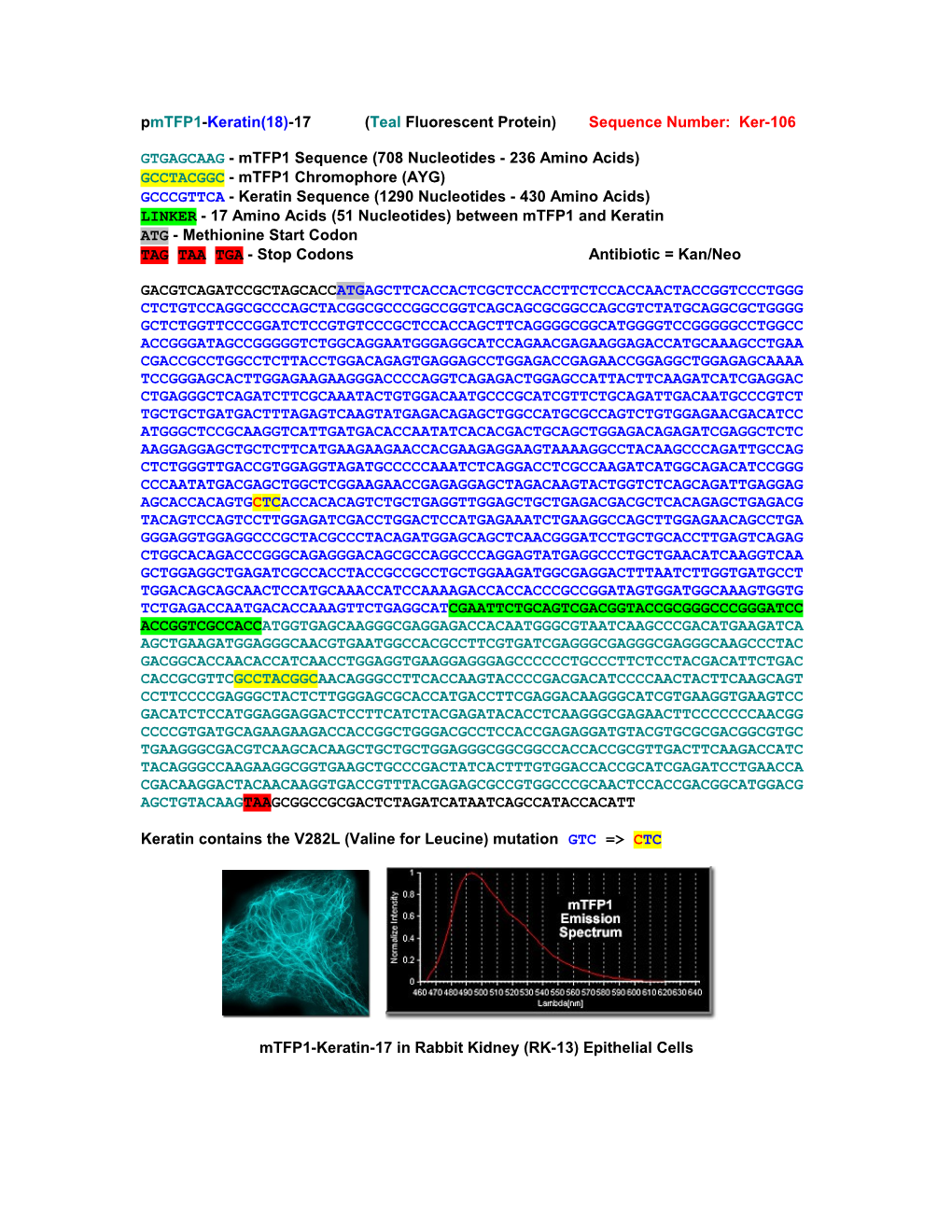 Pmtfp1-Keratin(18)-17 (Teal Fluorescent Protein) Sequence Number: Ker-106