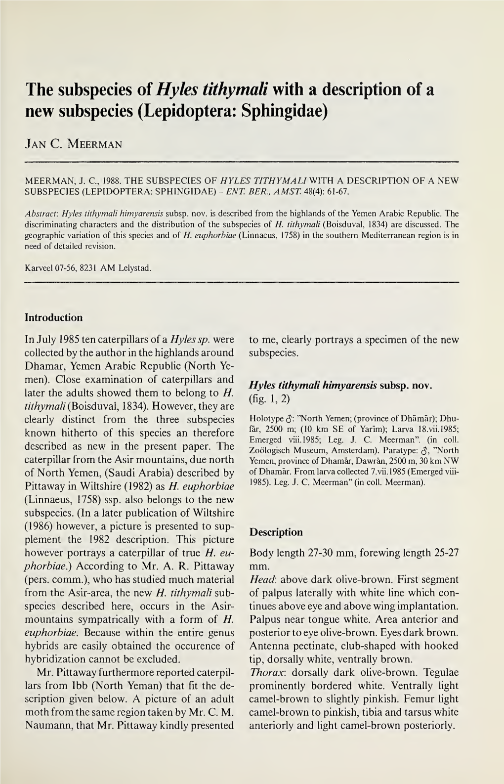 The Subspecies of Hyles Tithymali with a Description of a New Subspecies (Lepidoptera: Sphingidae)