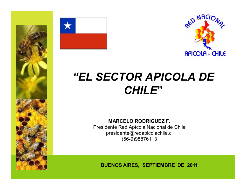 “El Sector Apicola De Chile”