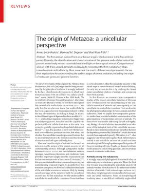 The Origin of Metazoa: a Unicellular Perspective