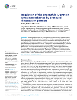Regulation of the Drosophila ID Protein Extra Macrochaetae by Proneural Dimerization Partners Ke Li1†, Nicholas E Baker1,2,3*