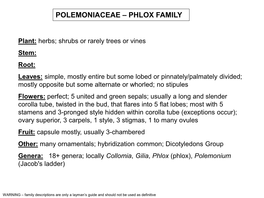 Polemoniaceae – Phlox Family