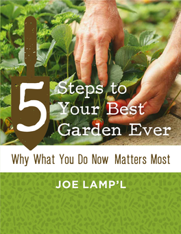 5Steps to Your Best Garden Ever