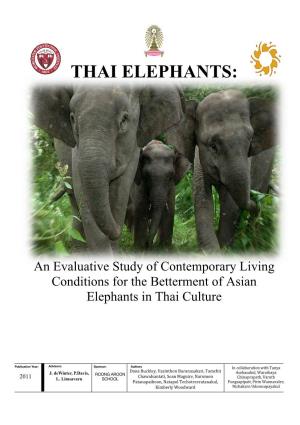 Thai Elephants