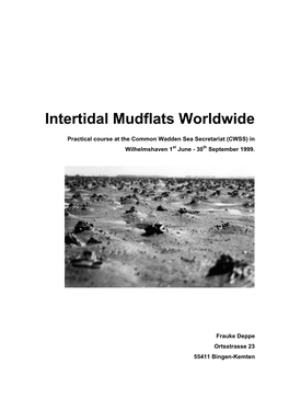 Intertidal Mudflats Worldwide