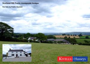 Scotland Hill Farm, Llandygwydd, Cardigan for Sale by Public Auction