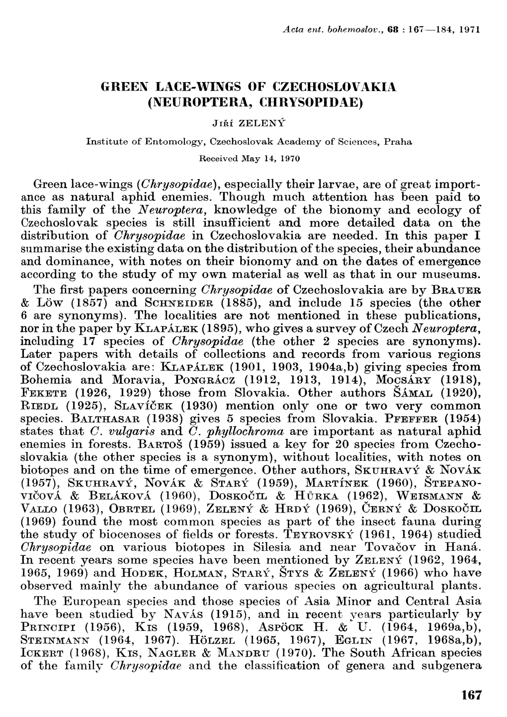Chrysopa Ciliata \VESMAEL, 1841, Chrysopa Alba Auct