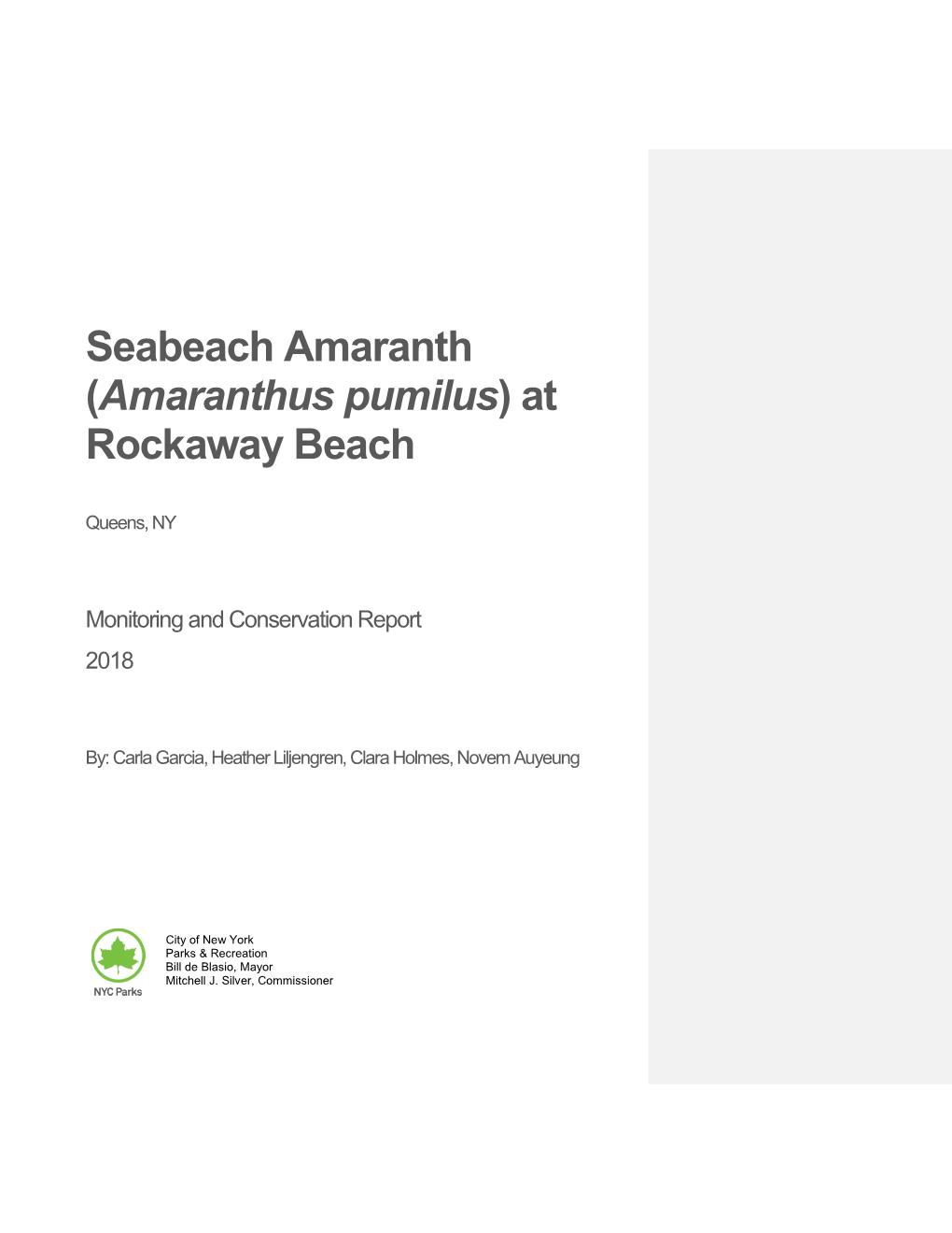 Seabeach Amaranth (Amaranthus Pumilus) at Rockaway Beach