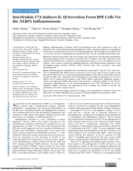 Interleukin-17A Induces IL-1B Secretion from RPE Cells Via the NLRP3 Inflammasome