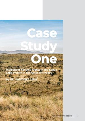 Case Study Report For