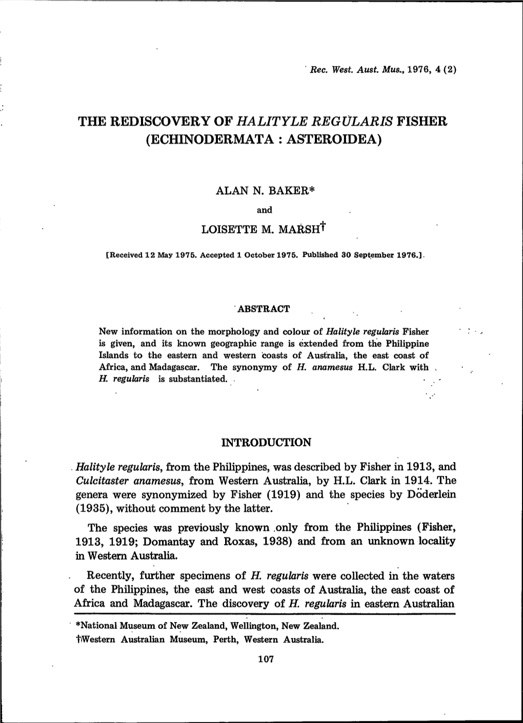 The Rediscovery of Halityle Regularis Fisher (Echinodermata: Asteroidea)