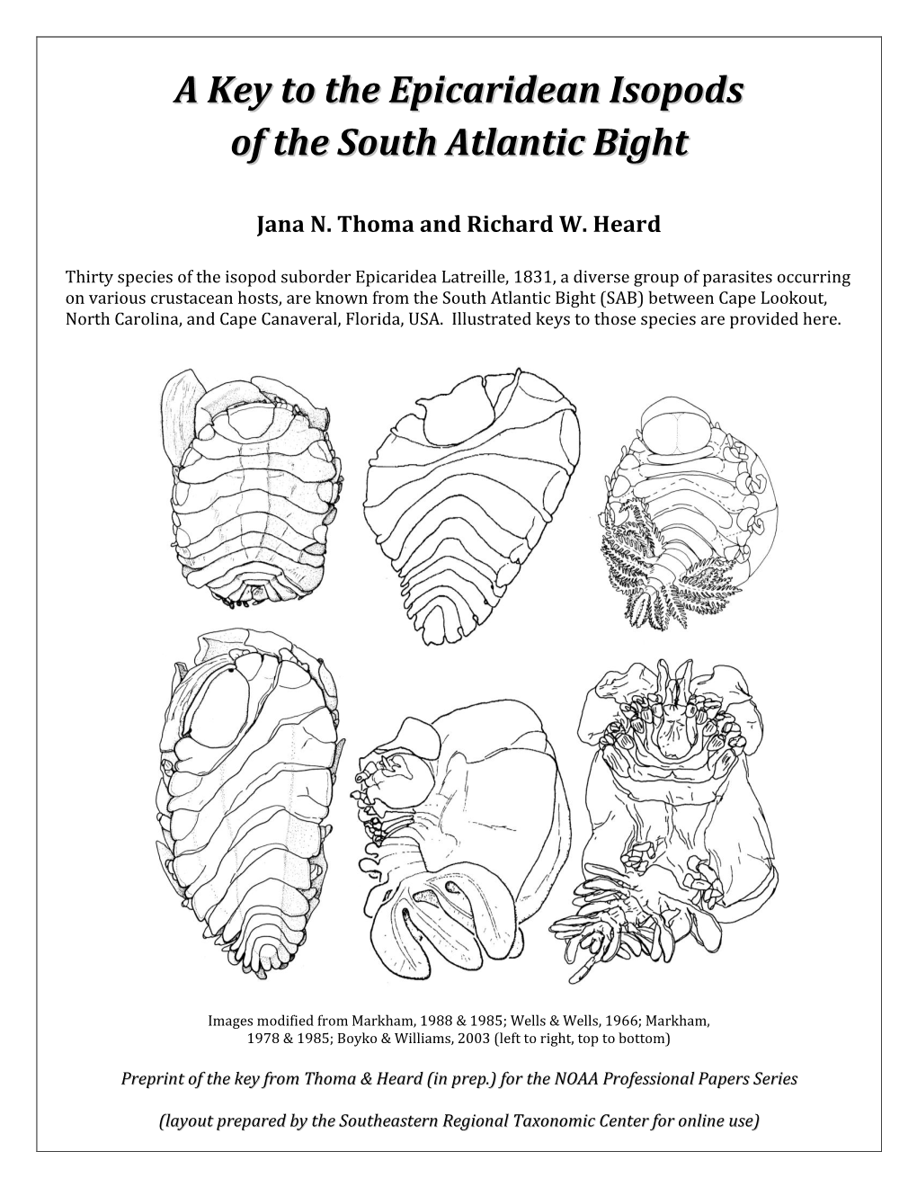 A Key to the Epicaridean Isopods of the South Atlantic Bight