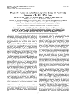 Diagnostic Assay for Helicobacter Hepaticus Based on Nucleotide Sequence of Its 16S Rrna Gene JANE K