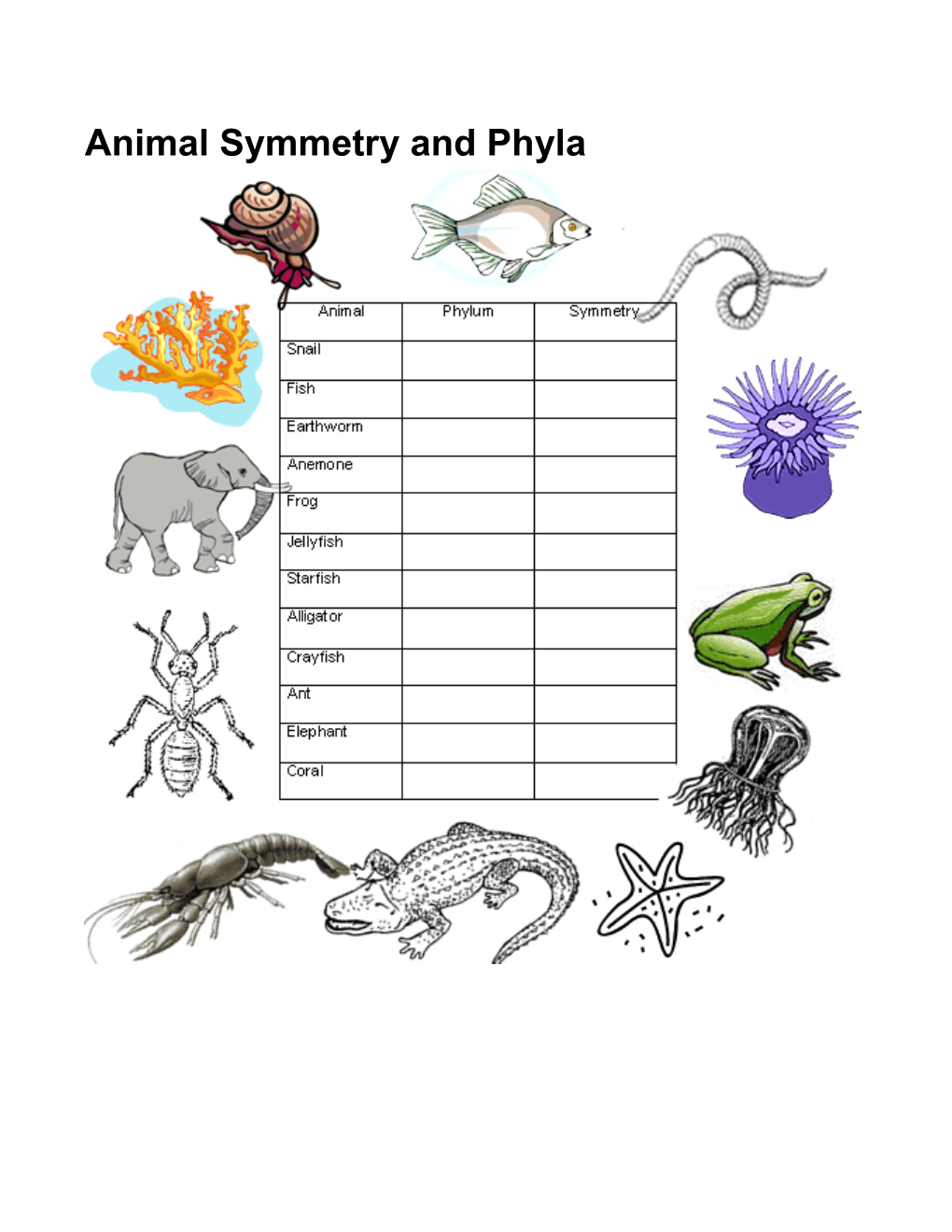 Animal Symmetry and Phyla