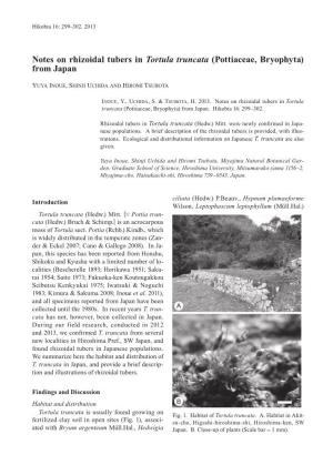 Notes on Rhizoidal Tubers in Tortula Truncata (Pottiaceae, Bryophyta) from Japan