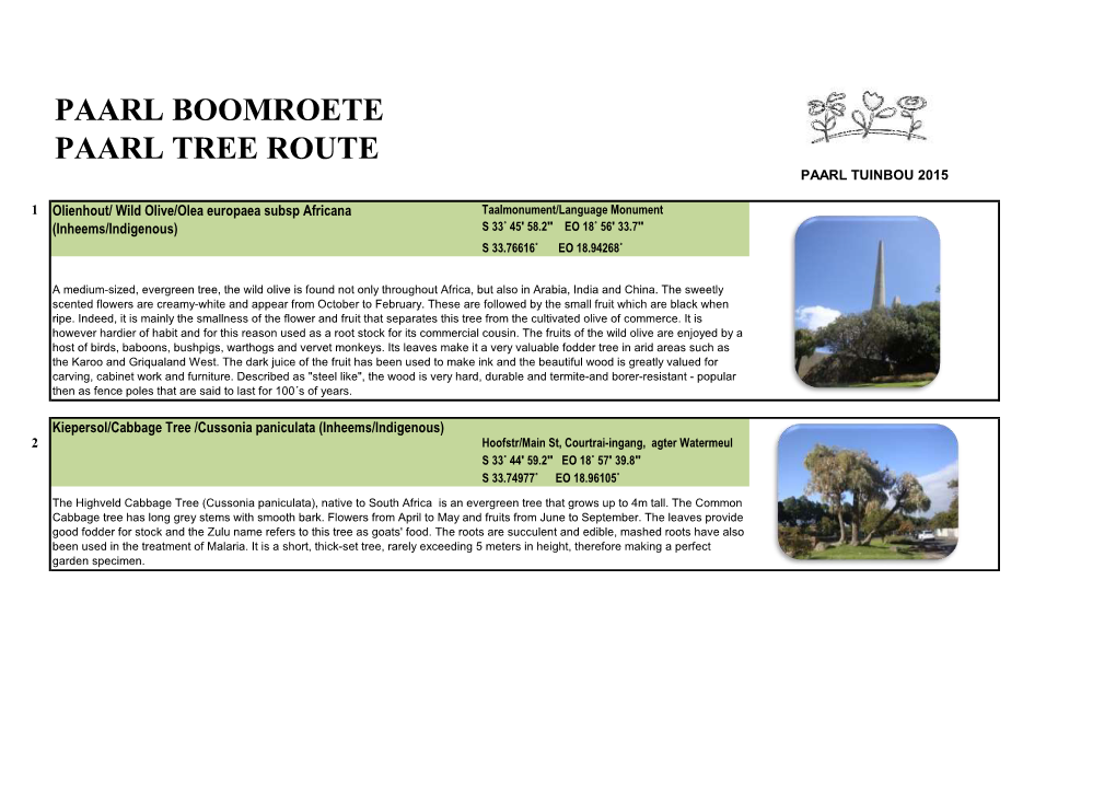 Paarl Boomroete Paarl Tree Route Paarl Tuinbou 2015