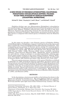 A New Species of Pediobius (Hymenoptera: Eulophidae) Parasitizing Chyliza Apicalis (Diptera: Psilidae) in Ash Trees Attacked By