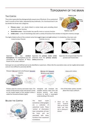 Topography of the Brain