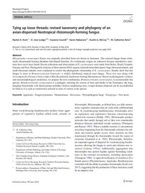 Revised Taxonomy and Phylogeny of an Avian-Dispersed Neotropical Rhizomorph-Forming Fungus