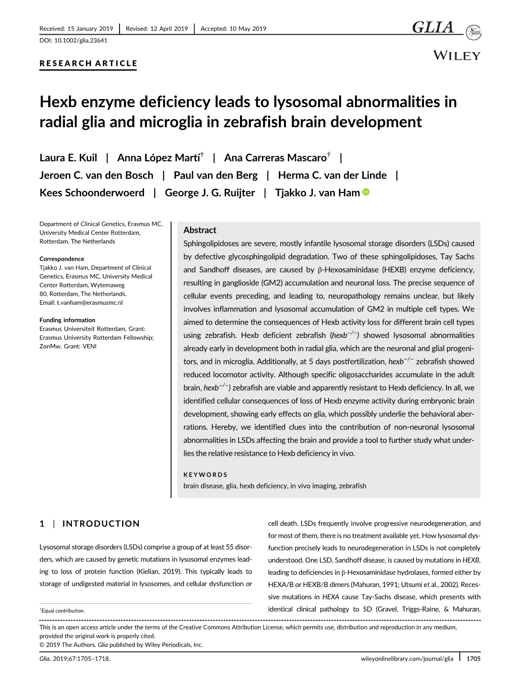 hexb-enzyme-deficiency-leads-to-lysosomal-abnormalities-in-radial-glia