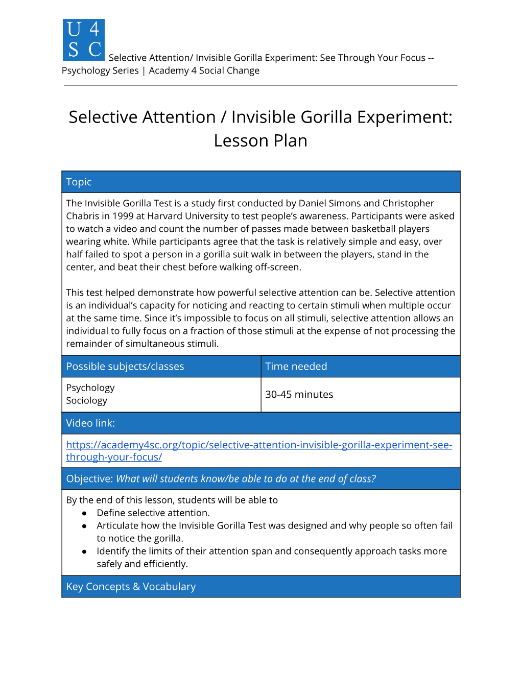 gorilla experiment attention