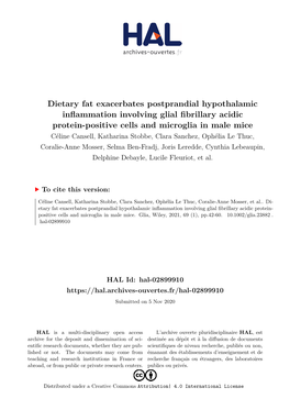 Dietary Fat Exacerbates Postprandial Hypothalamic Inflammation Involving Glial Fibrillary Acidic Protein-Positive Cells and Micr